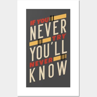 If You Never Try You'll Never Know Posters and Art